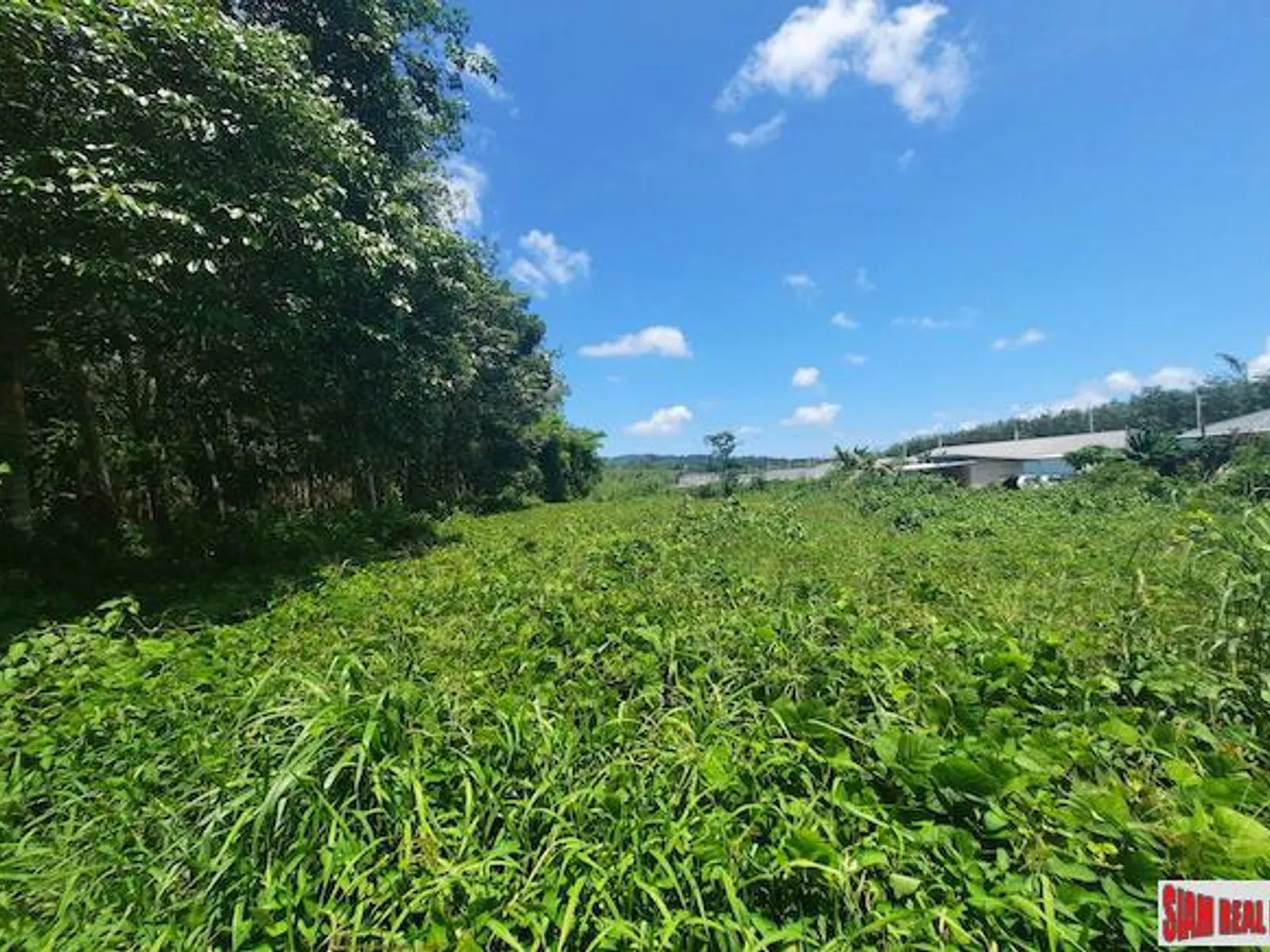8,884 sqm Prime Land for Sale, Thalang, Near Main Road - Thalang, Phuket - Photo 8