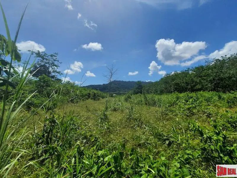 8,884 sqm Prime Land for Sale, Thalang, Near Main Road - Thalang, Phuket - Main photo
