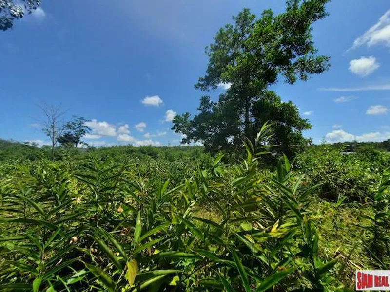 8,884 sqm Prime Land for Sale, Thalang, Near Main Road - Thalang, Phuket - Main photo