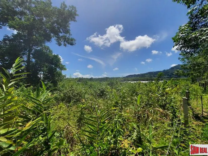 8,884 sqm Prime Land for Sale, Thalang, Near Main Road - Thalang, Phuket - Main photo