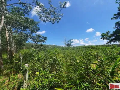 8,884 sqm Prime Land for Sale, Thalang, Near Main Road - Thalang, Phuket - Photo 2
