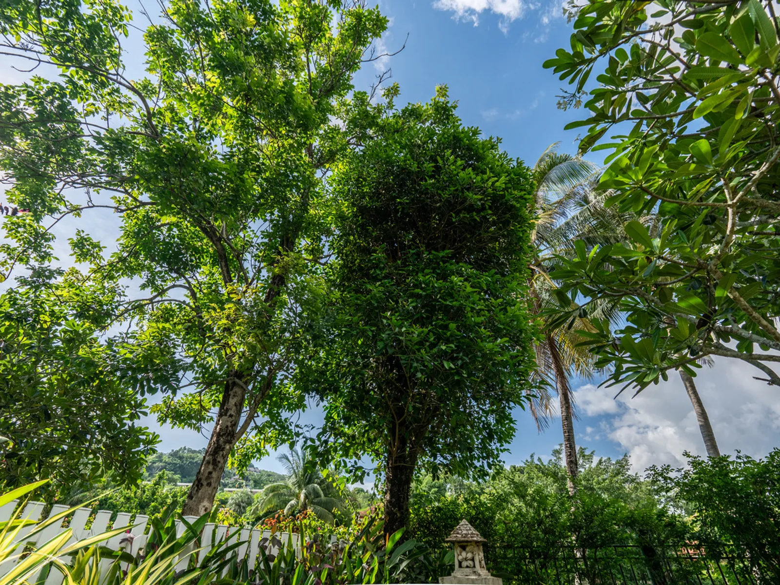 Продается вилла с 3 спальнями и бассейном, Лагуна, с видом на озеро - Laguna, Phuket - Фото 60