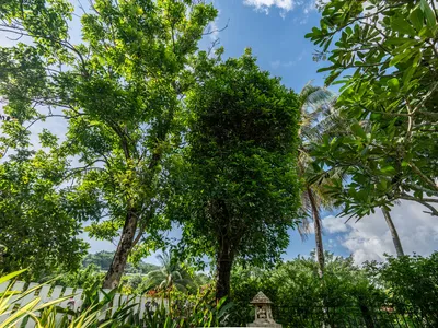 Продается вилла с 3 спальнями и бассейном, Лагуна, с видом на озеро - Laguna, Phuket - Фото 60