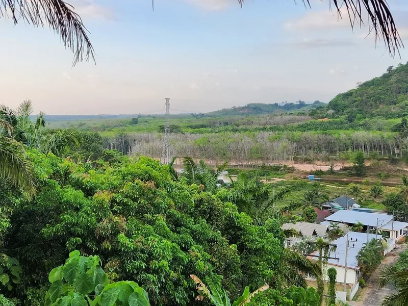 1 Rai Sea View Land for Sale, Mai Khao, Freehold - Mai Khao, Phuket - Main photo