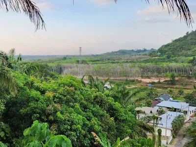 1 Rai Sea View Land for Sale, Mai Khao, Freehold - Mai Khao, Phuket - Photo 3