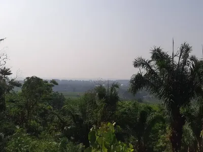 1 Rai Sea View Land for Sale, Mai Khao, Freehold - Mai Khao, Phuket - Photo 2