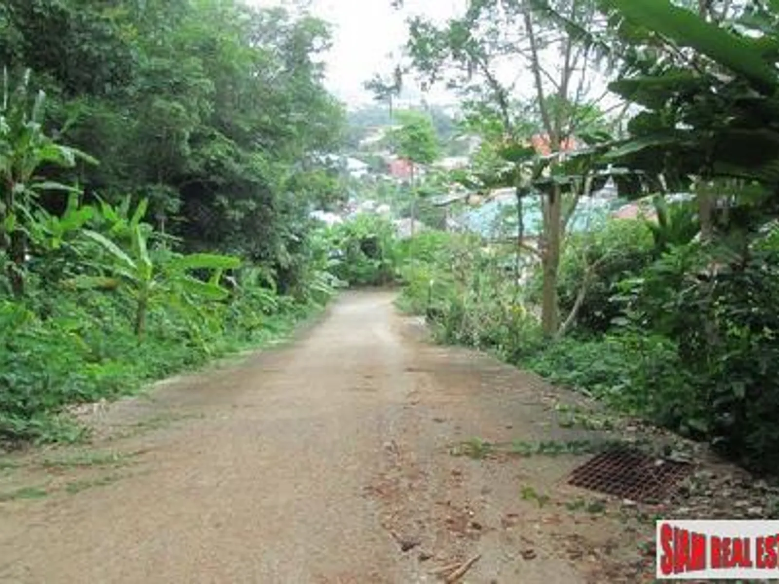4+ Rai Sea View Hillside Land for Sale, Karon - Karon, Phuket - Photo 13