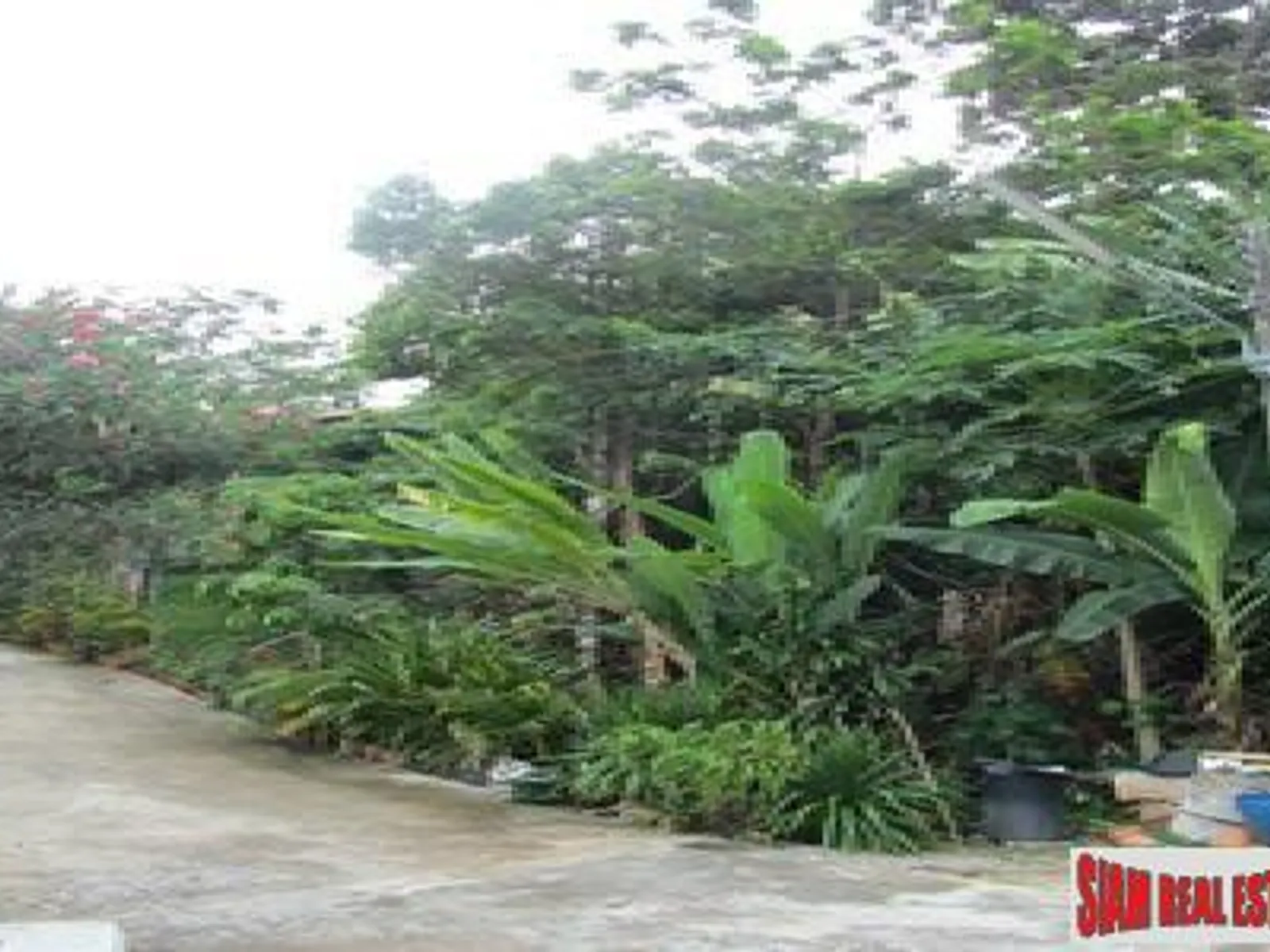 4+ Rai Sea View Hillside Land for Sale, Karon - Karon, Phuket - Photo 9