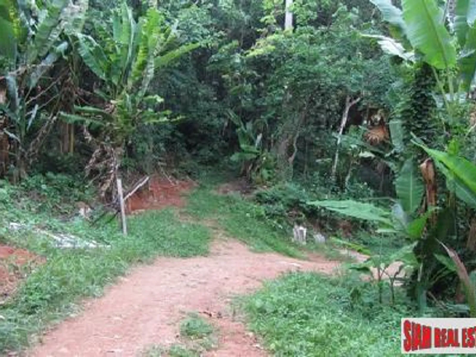 4+ Rai Sea View Hillside Land for Sale, Karon - Karon, Phuket - Photo 11