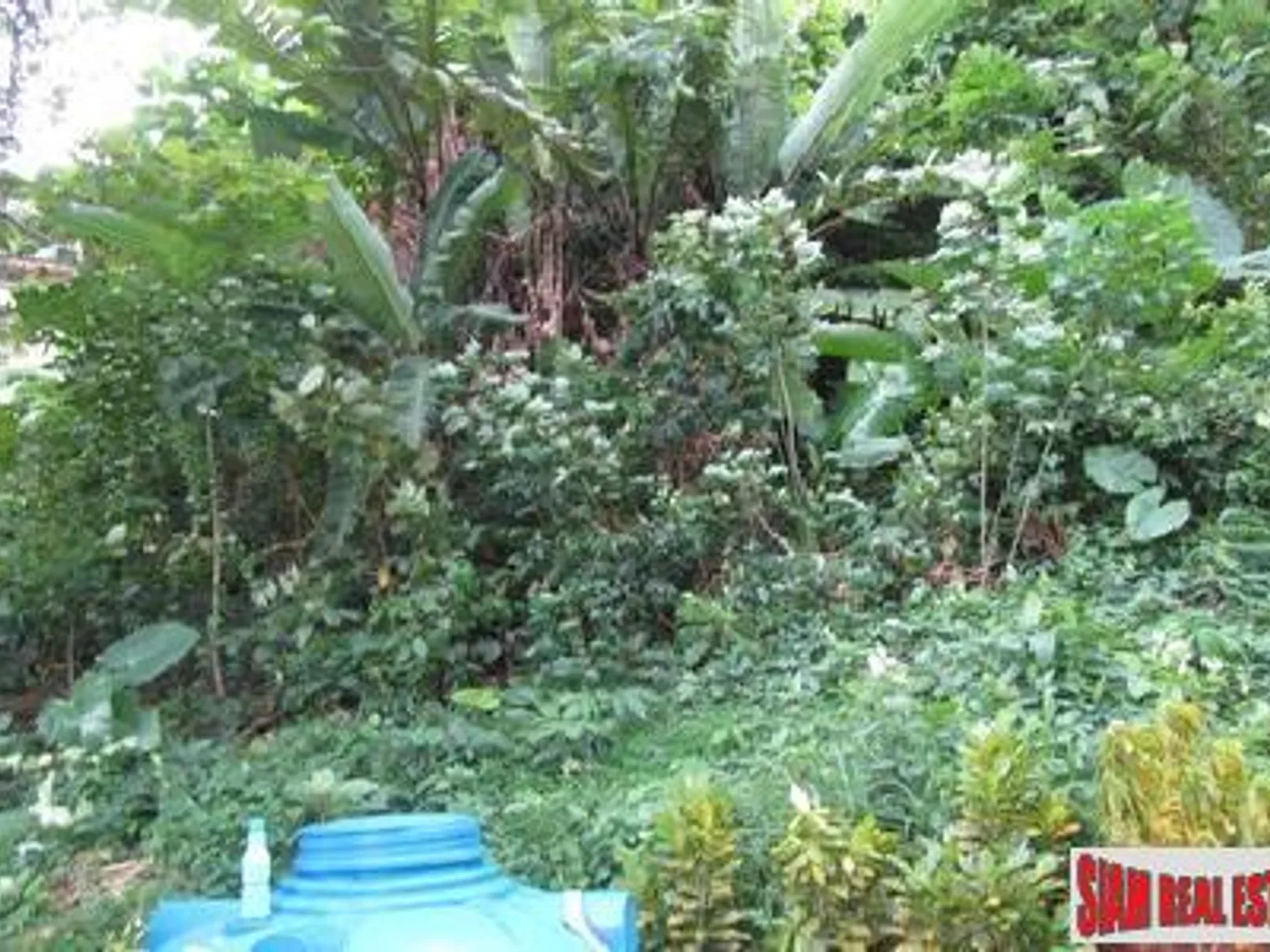 4+ Rai Sea View Hillside Land for Sale, Karon - Karon, Phuket - Photo 7