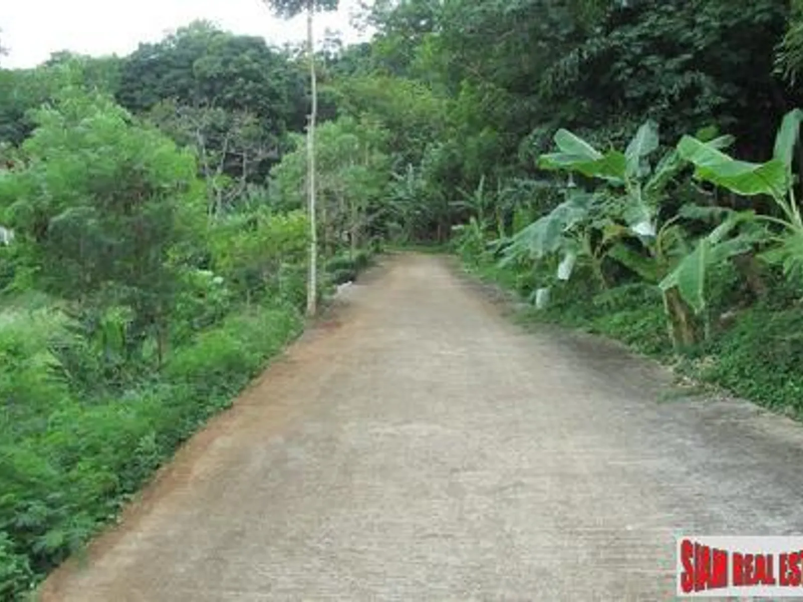 4+ Rai Sea View Hillside Land for Sale, Karon - Karon, Phuket - Photo 15