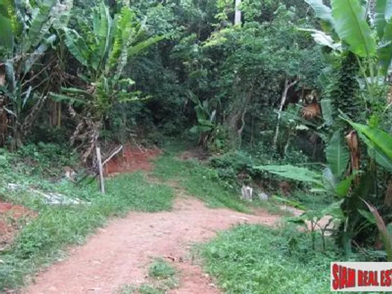 4+ Rai Sea View Hillside Land for Sale, Karon - Karon, Phuket - Main photo