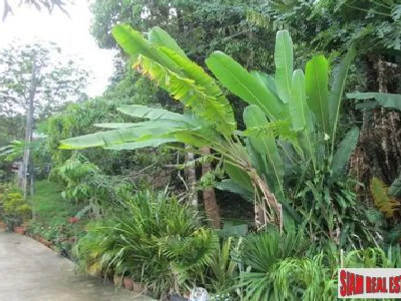 4+ Rai Sea View Hillside Land for Sale, Karon - Karon, Phuket - Main photo