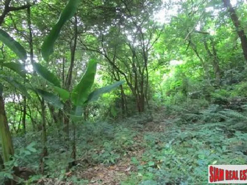 4+ Rai Sea View Hillside Land for Sale, Karon - Karon, Phuket - Main photo