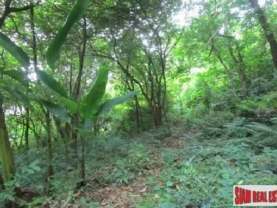 4+ Rai Sea View Hillside Land for Sale, Karon - Karon, Phuket - Photo 10