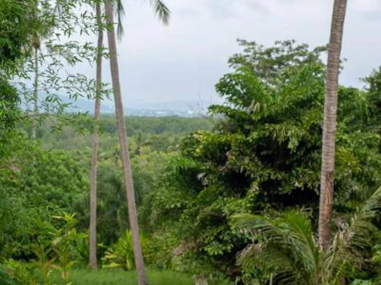 Studio Villa with Private Pool, Koh Maphrao (Coconut Island) - Koh Maprao, Phuket - Photo 8