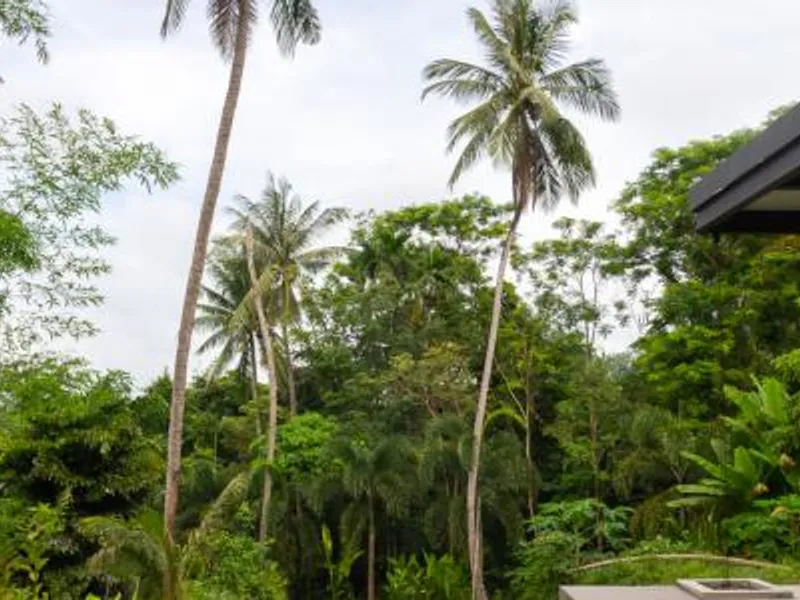 Studio Villa with Private Pool, Koh Maphrao (Coconut Island) - Koh Maprao, Phuket - Main photo