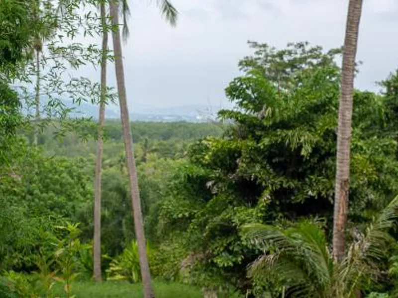 Studio Villa with Private Pool, Koh Maphrao (Coconut Island) - Koh Maprao, Phuket - Main photo