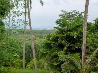 Studio Villa with Private Pool, Koh Maphrao (Coconut Island) - Koh Maprao, Phuket - Photo 8