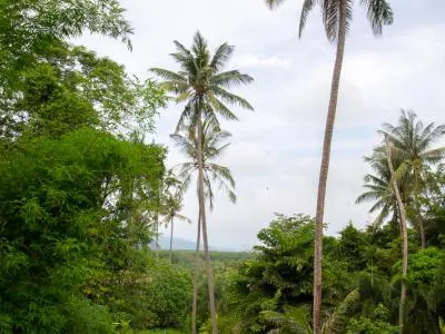 Studio Villa with Private Pool, Koh Maphrao (Coconut Island) - Koh Maprao, Phuket - Photo 10