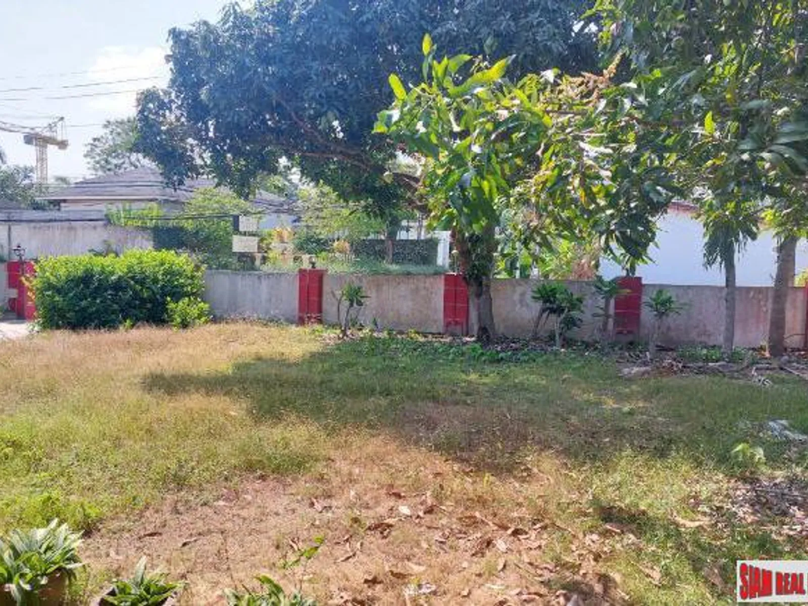 688 sqm Flat Land with Storage House, Saiyuan Rawai, Freehold - Rawai, Phuket - Photo 7