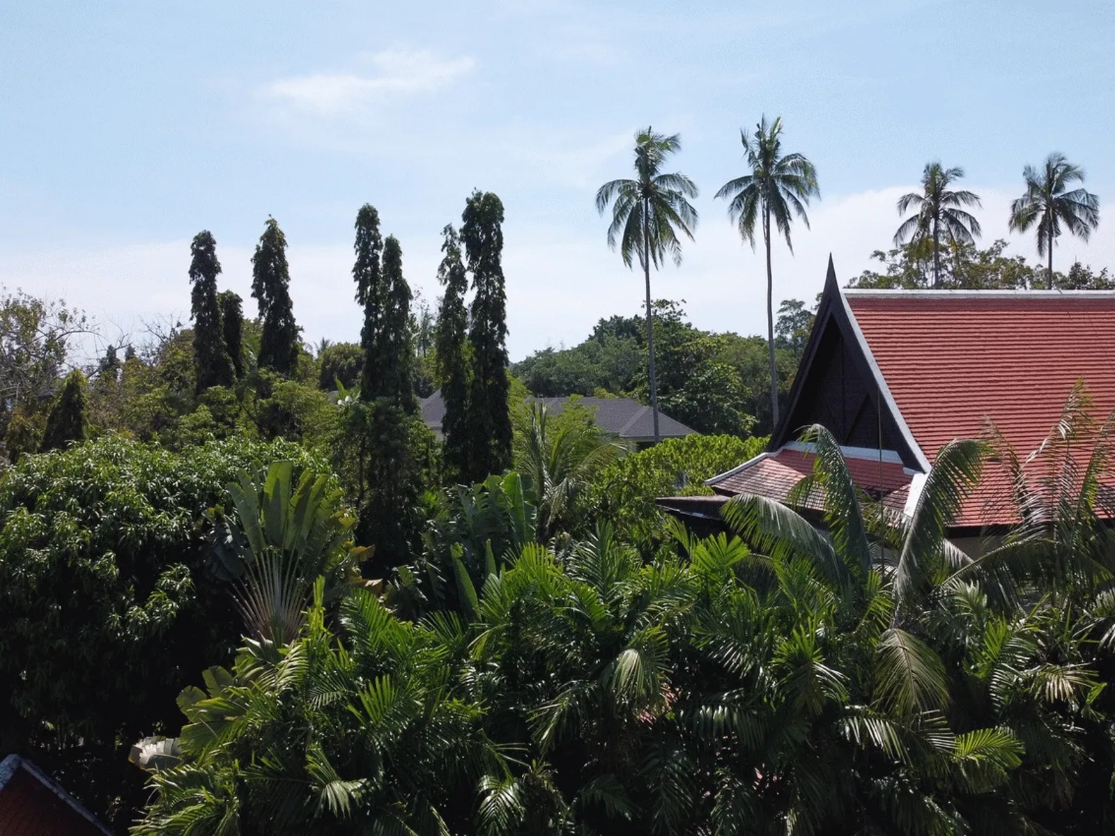 475 sqm Sea View Land, 60m to Chalong Bay, Rawai, Freehold - Rawai, Phuket - Photo 11