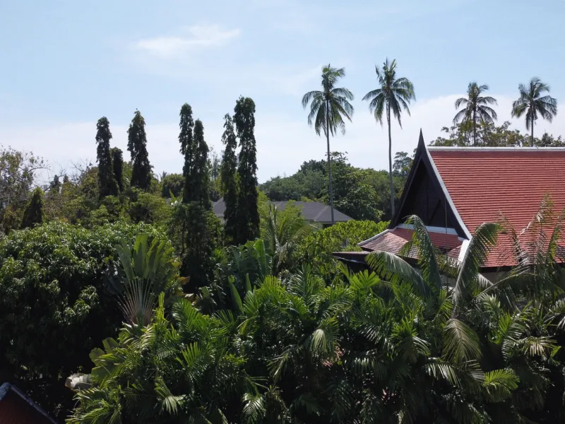 475 sqm Sea View Land, 60m to Chalong Bay, Rawai, Freehold - Rawai, Phuket - Main photo