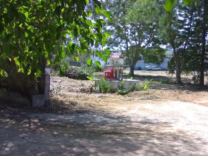 9+ Rai Flat Land for Sale, Thalang, Mixed-Use Zoning - Thalang, Phuket - Main photo