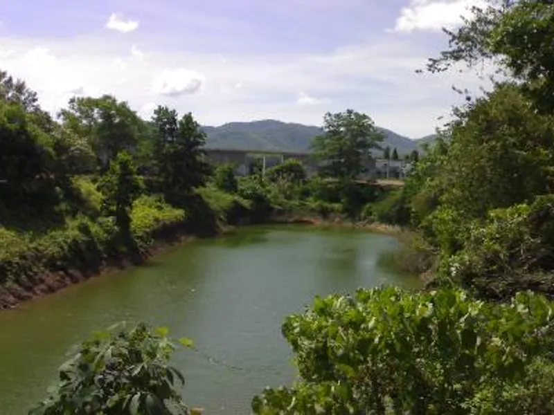 9+ Rai Flat Land for Sale, Thalang, Mixed-Use Zoning - Thalang, Phuket - Main photo