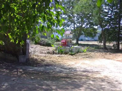 9+ Rai Flat Land for Sale, Thalang, Mixed-Use Zoning - Thalang, Phuket - Photo 3
