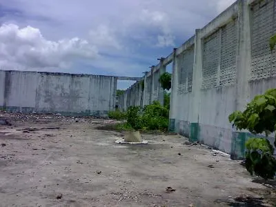 9+ Rai Flat Land for Sale, Thalang, Mixed-Use Zoning - Thalang, Phuket - Photo 7