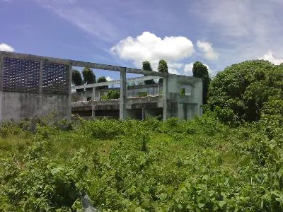 ขายที่ดินแปลงราบ 9 ไร่กว่า ถลาง ผังเมืองรวมประเภทผสมผสาน - Thalang, Phuket - อสังหาริมทรัพย์ขายหรือให้เช่าในภูเก็ต