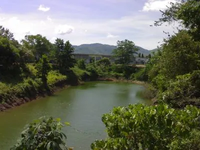 9+ Rai Flat Land for Sale, Thalang, Mixed-Use Zoning - Thalang, Phuket - Photo 6