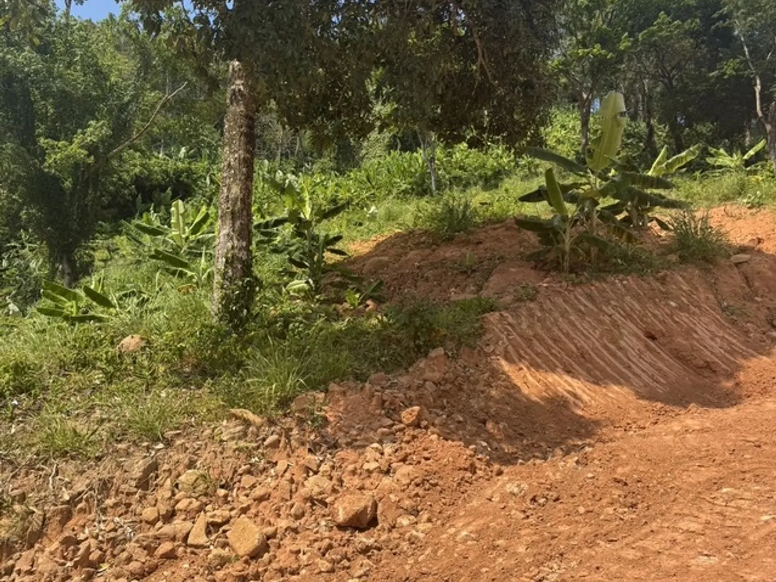 8 Rai Land for Sale, Nai Thon, Main Road Access, Freehold - Nai Thon, Phuket - Photo 6