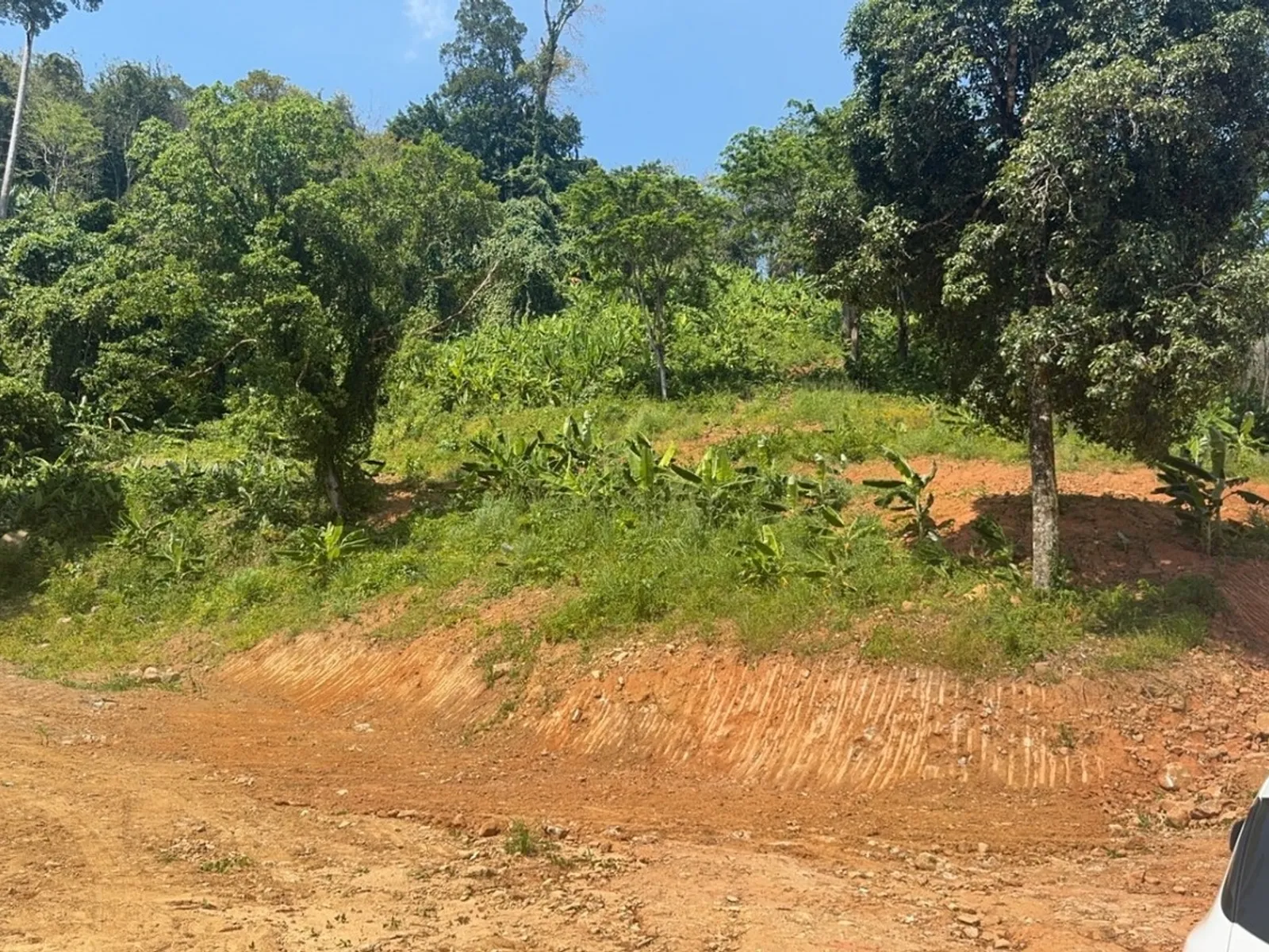 8 Rai Land for Sale, Nai Thon, Main Road Access, Freehold - Nai Thon, Phuket - Photo 4