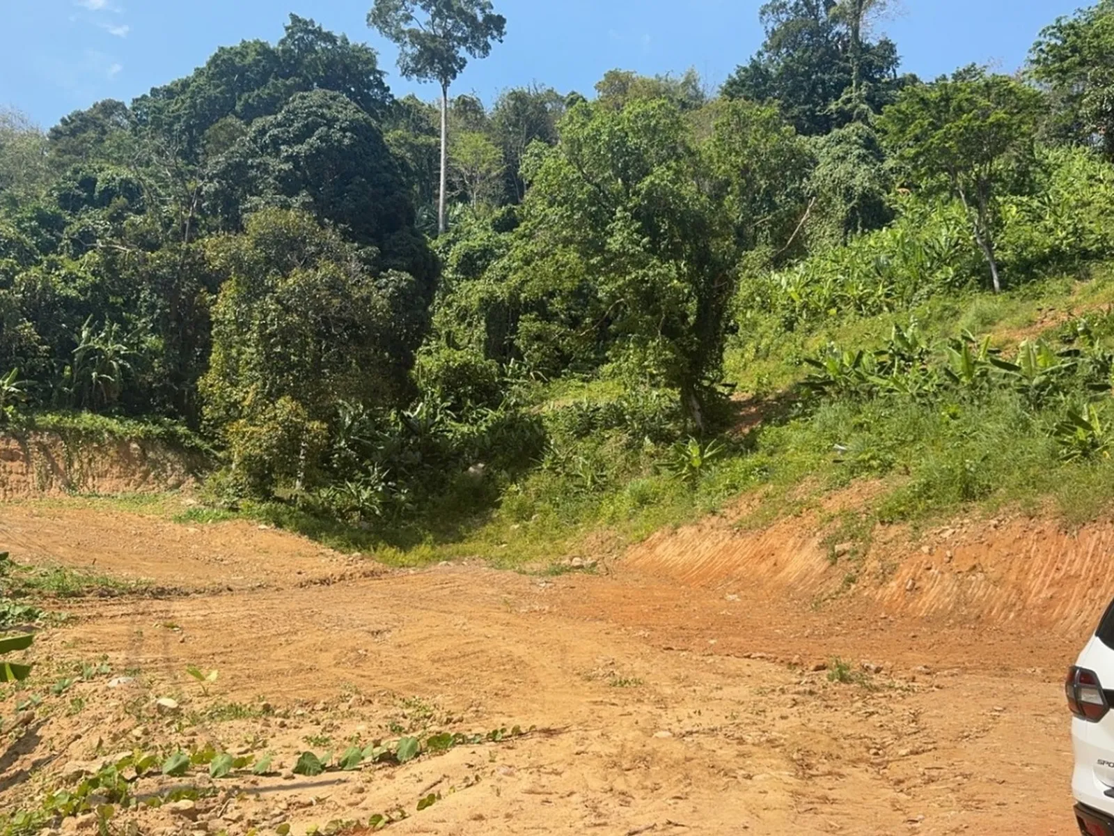 8 Rai Land for Sale, Nai Thon, Main Road Access, Freehold - Nai Thon, Phuket - Photo 5