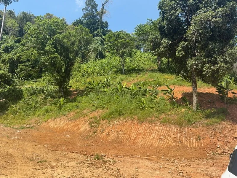 8 Rai Land for Sale, Nai Thon, Main Road Access, Freehold - Nai Thon, Phuket - Main photo