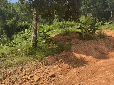 8 Rai Land for Sale, Nai Thon, Main Road Access, Freehold - Nai Thon, Phuket - Photo 6
