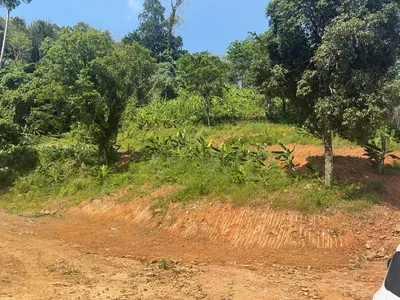 8 Rai Land for Sale, Nai Thon, Main Road Access, Freehold - Nai Thon, Phuket - Photo 4