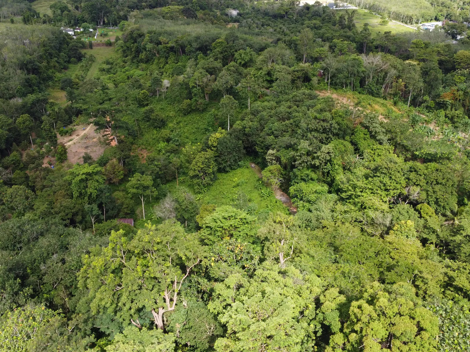 5,841 sqm Hillside Land for Sale, Bang Pae, Pa Klok, Freehold - Pa Klok, Phuket - Photo 7