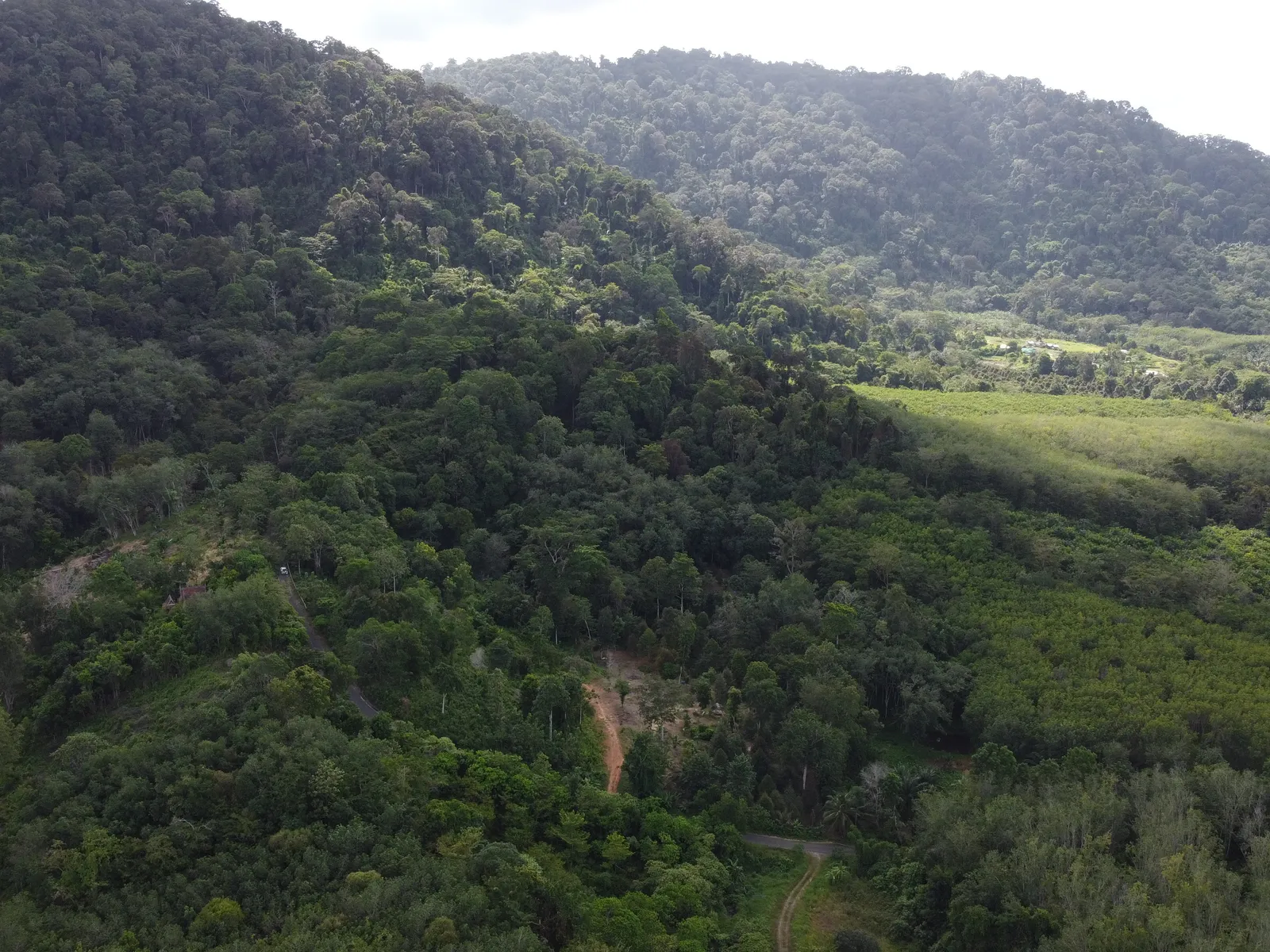 5,841 sqm Hillside Land for Sale, Bang Pae, Pa Klok, Freehold - Pa Klok, Phuket - Photo 2