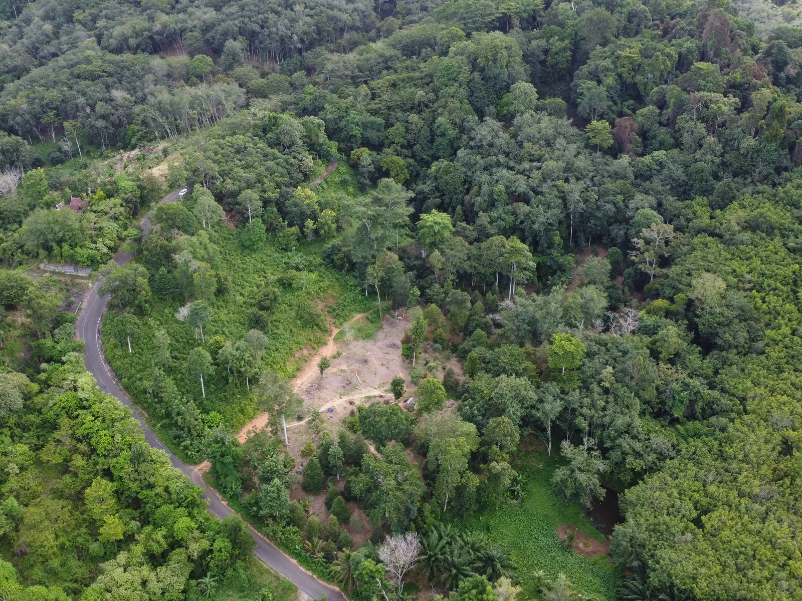 5,841 sqm Hillside Land for Sale, Bang Pae, Pa Klok, Freehold - Pa Klok, Phuket - Photo 4