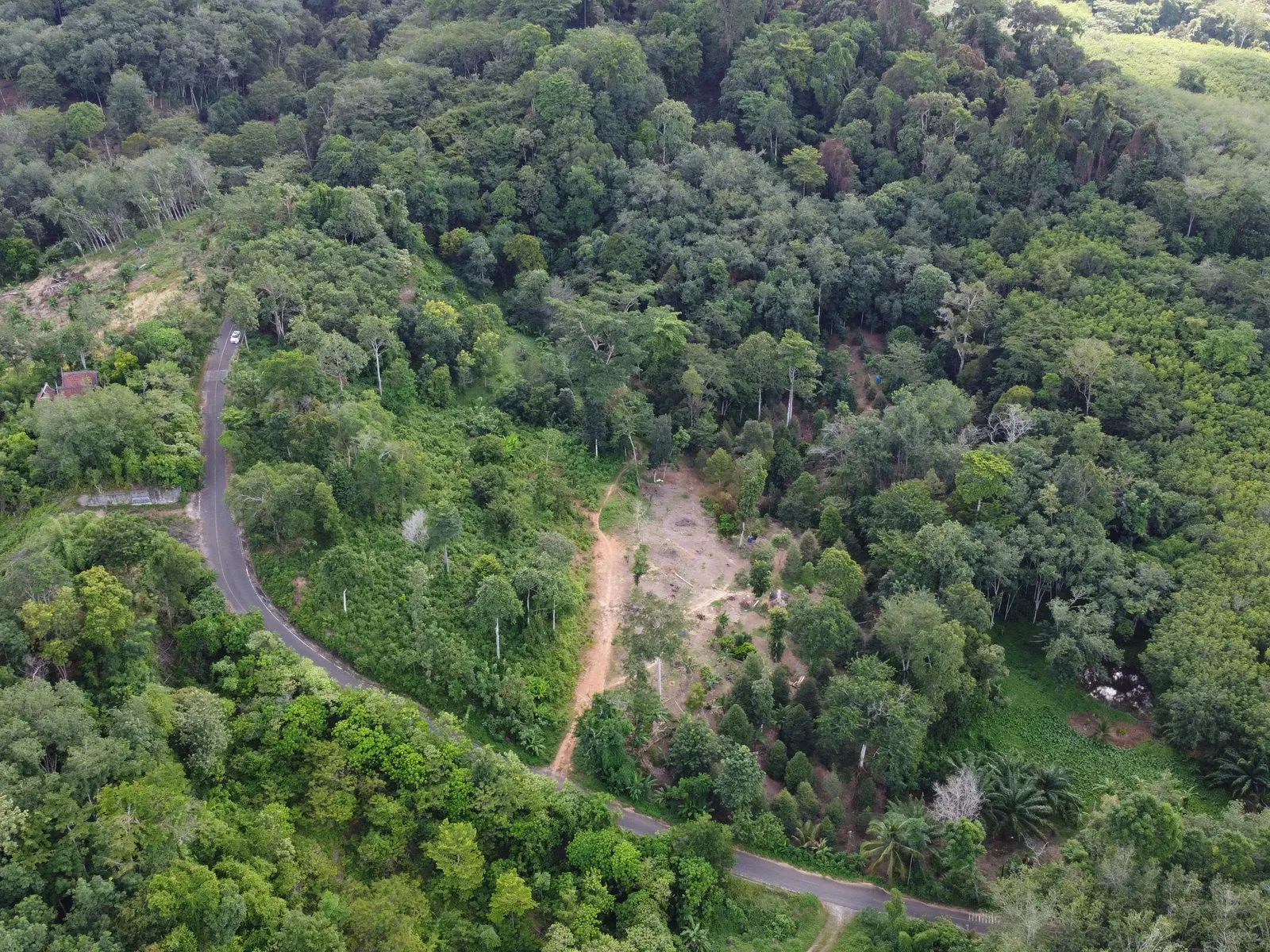 5,841 sqm Hillside Land for Sale, Bang Pae, Pa Klok, Freehold - Pa Klok, Phuket - Photo 3