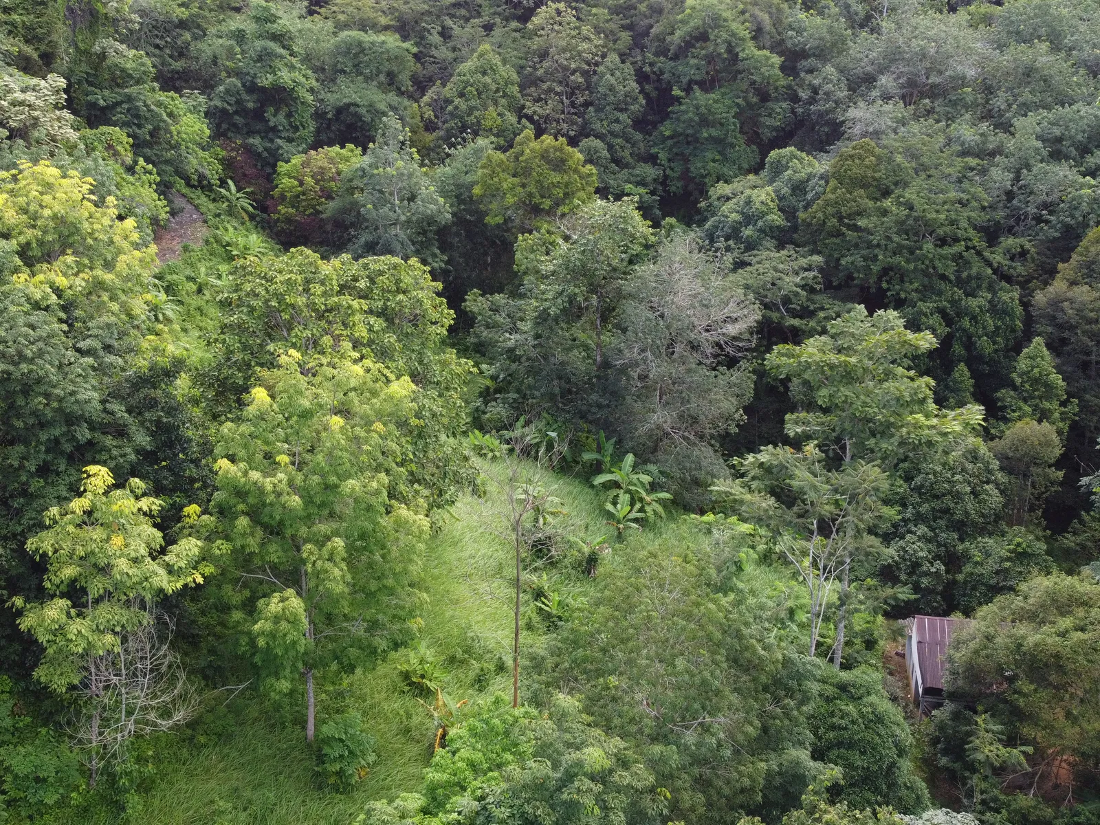 5,841 sqm Hillside Land for Sale, Bang Pae, Pa Klok, Freehold - Pa Klok, Phuket - Photo 14