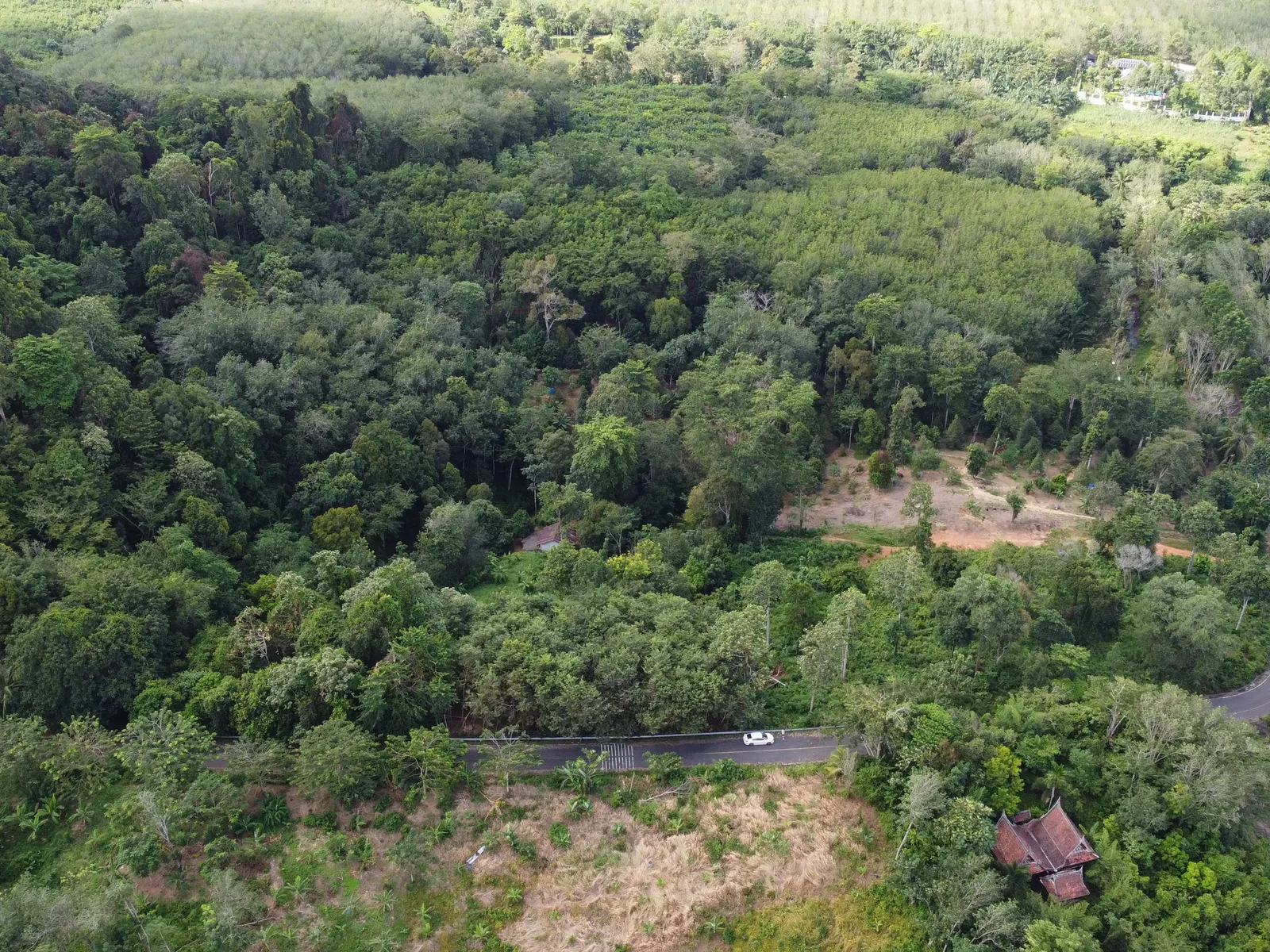 5,841 sqm Hillside Land for Sale, Bang Pae, Pa Klok, Freehold - Pa Klok, Phuket - Photo 20