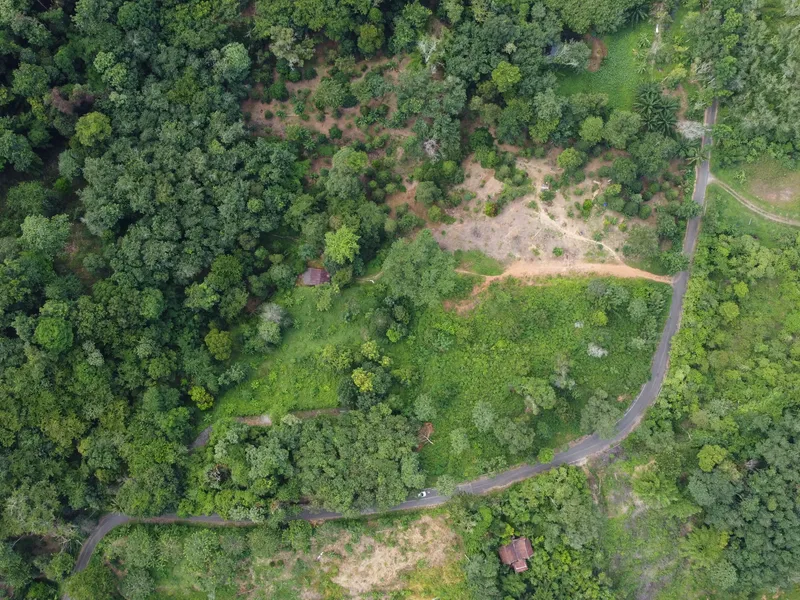 5,841 sqm Hillside Land for Sale, Bang Pae, Pa Klok, Freehold - Pa Klok, Phuket - Main photo