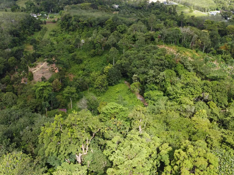 5,841 sqm Hillside Land for Sale, Bang Pae, Pa Klok, Freehold - Pa Klok, Phuket - Main photo