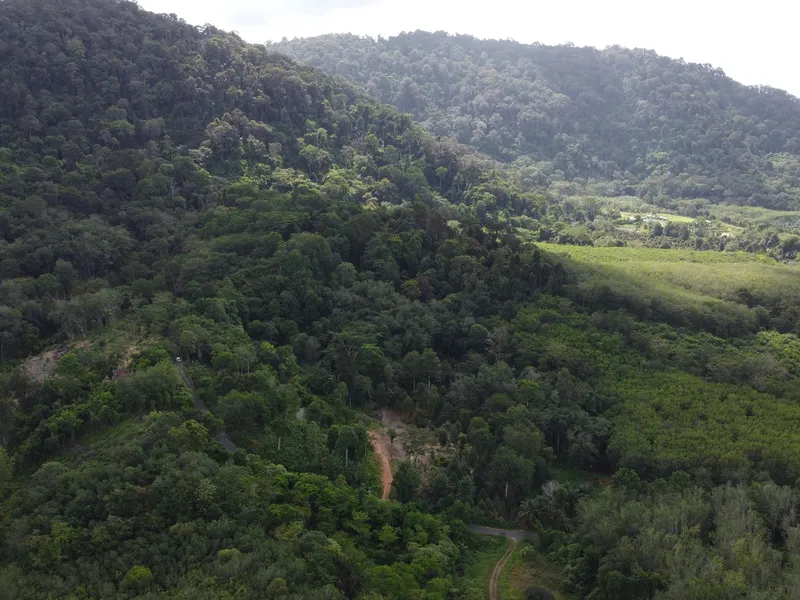 5,841 sqm Hillside Land for Sale, Bang Pae, Pa Klok, Freehold - Pa Klok, Phuket - Main photo