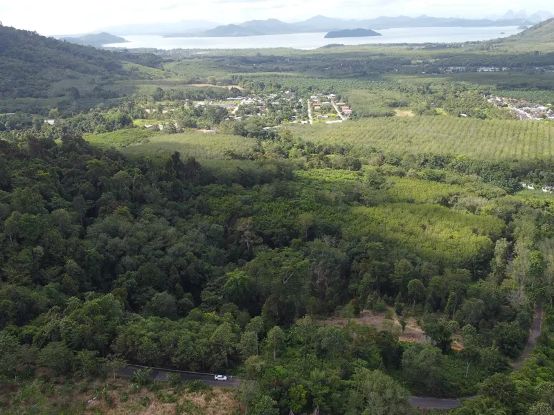 5,841 sqm Hillside Land for Sale, Bang Pae, Pa Klok, Freehold - Pa Klok, Phuket - Main photo