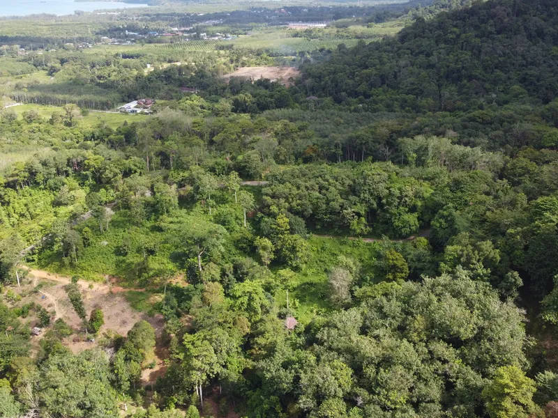 5,841 sqm Hillside Land for Sale, Bang Pae, Pa Klok, Freehold - Pa Klok, Phuket - Main photo